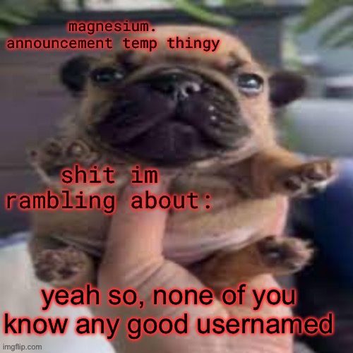 pug temp | yeah so, none of you know any good usernames | image tagged in pug temp | made w/ Imgflip meme maker