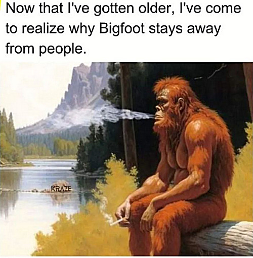Learn. Be your own Foot of Bigness. | image tagged in memes,bigfoot | made w/ Imgflip meme maker