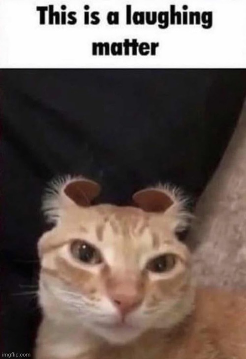 This is a laughing matter | image tagged in this is a laughing matter | made w/ Imgflip meme maker