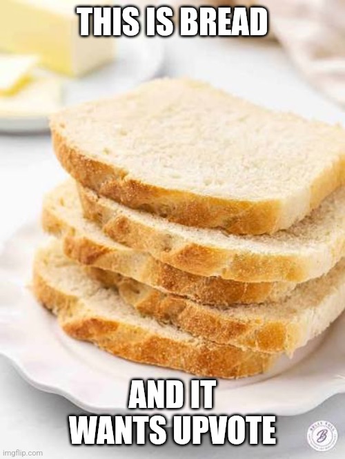 Bread | THIS IS BREAD; AND IT WANTS UPVOTE | image tagged in bread | made w/ Imgflip meme maker