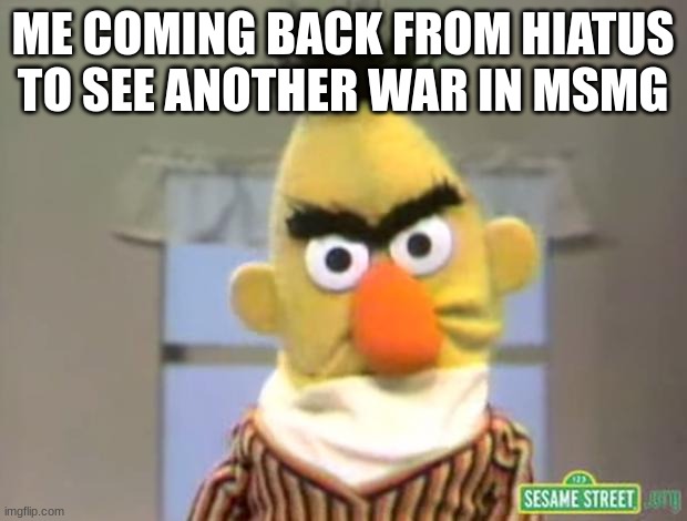 knock it tf off already jesus | ME COMING BACK FROM HIATUS TO SEE ANOTHER WAR IN MSMG | image tagged in sesame street - angry bert | made w/ Imgflip meme maker