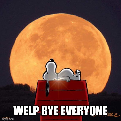 Goodnight | WELP BYE EVERYONE | image tagged in goodnight | made w/ Imgflip meme maker