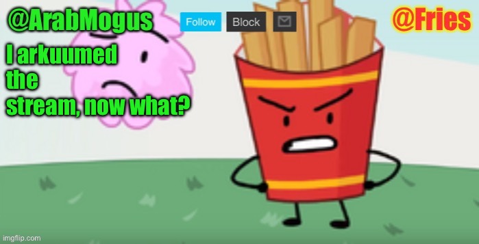 ArabMogus and Fries shared temp | I arkuumed the stream, now what? | image tagged in arabmogus and fries shared temp | made w/ Imgflip meme maker