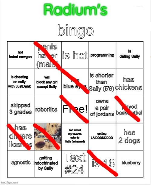 Radium Bingo (Sally made this on call) | image tagged in radium bingo sally made this on call | made w/ Imgflip meme maker