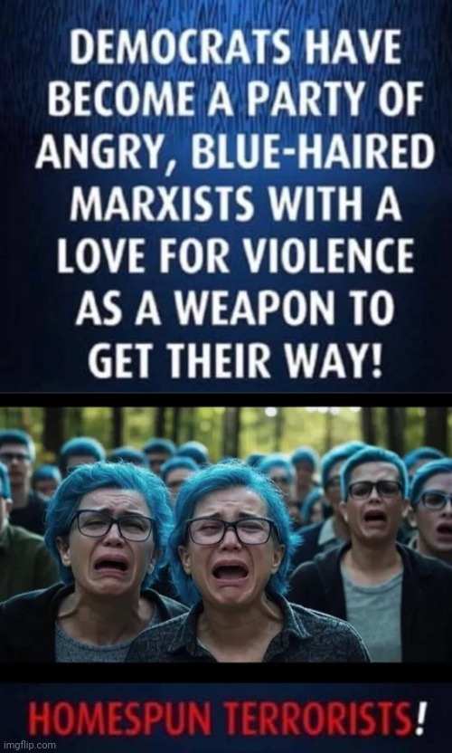 Marxists get their way | image tagged in blue haired wokesters,cultural marxism | made w/ Imgflip meme maker