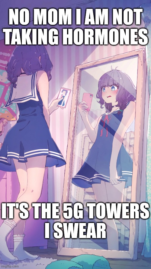 anime selfie | NO MOM I AM NOT
TAKING HORMONES; IT'S THE 5G TOWERS
I SWEAR | image tagged in anime selfie | made w/ Imgflip meme maker