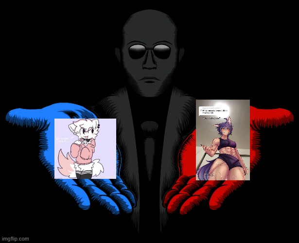 pick one, femboys or tomboys | image tagged in red or blue pill you live and learn | made w/ Imgflip meme maker