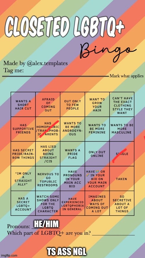 Closeted LGBTQ+ Bingo | HE/HIM; TS ASS NGL | image tagged in closeted lgbtq bingo | made w/ Imgflip meme maker