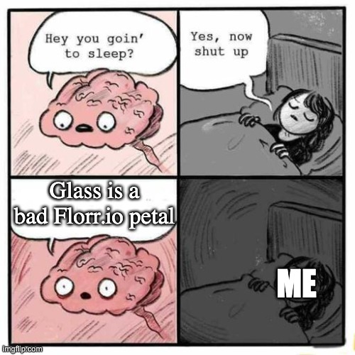 When I realized this I knew I was in trouble. I use a LOT of glass in Florr.io. | Glass is a bad Florr.io petal; ME | image tagged in hey you going to sleep,video games,memes,funny,brain,brain before sleep | made w/ Imgflip meme maker