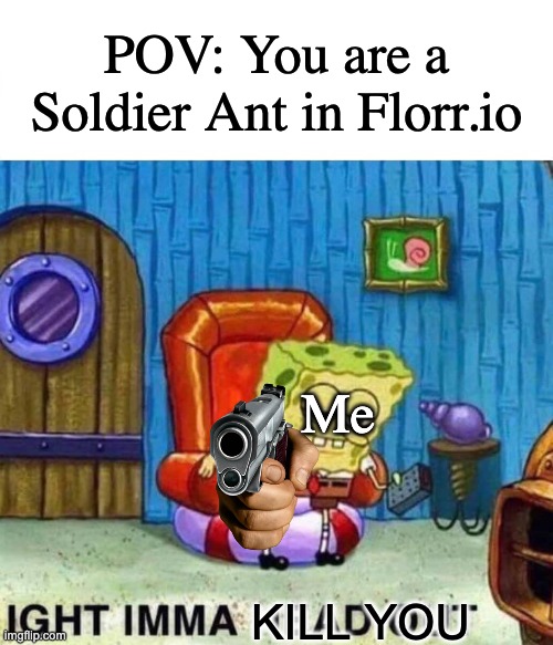 I grind THOUSANDS of soldier ants, so don't cross me in Florr.io if you are one! | POV: You are a Soldier Ant in Florr.io; Me; KILL YOU | image tagged in memes,spongebob ight imma head out,funny,ants | made w/ Imgflip meme maker