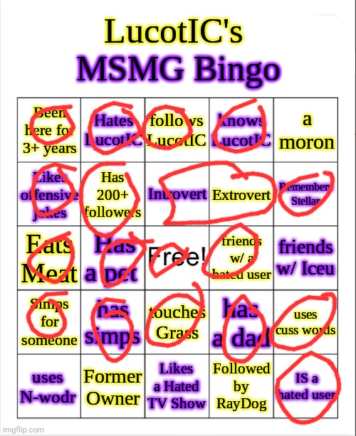 If you count all my accounts I've had more than 200 ppl follow me | image tagged in lucotic's ms_memer_group bingo | made w/ Imgflip meme maker