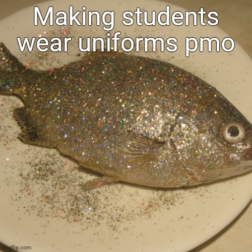 Le fish au glitter | Making students wear uniforms pmo | image tagged in le fish au glitter | made w/ Imgflip meme maker