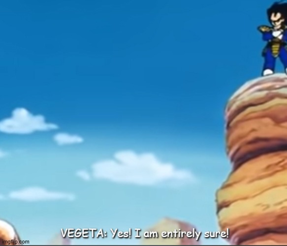 Vegeta "Yes I am entirely sure!" | image tagged in vegeta yes i am entirely sure | made w/ Imgflip meme maker