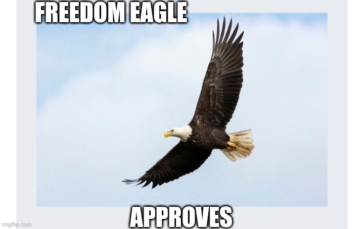 FREEDOM EAGLE APPROVES | made w/ Imgflip meme maker