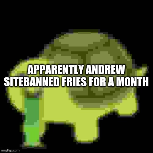 Low Quality Barfing Turtle | APPARENTLY ANDREW SITEBANNED FRIES FOR A MONTH | image tagged in low quality barfing turtle | made w/ Imgflip meme maker