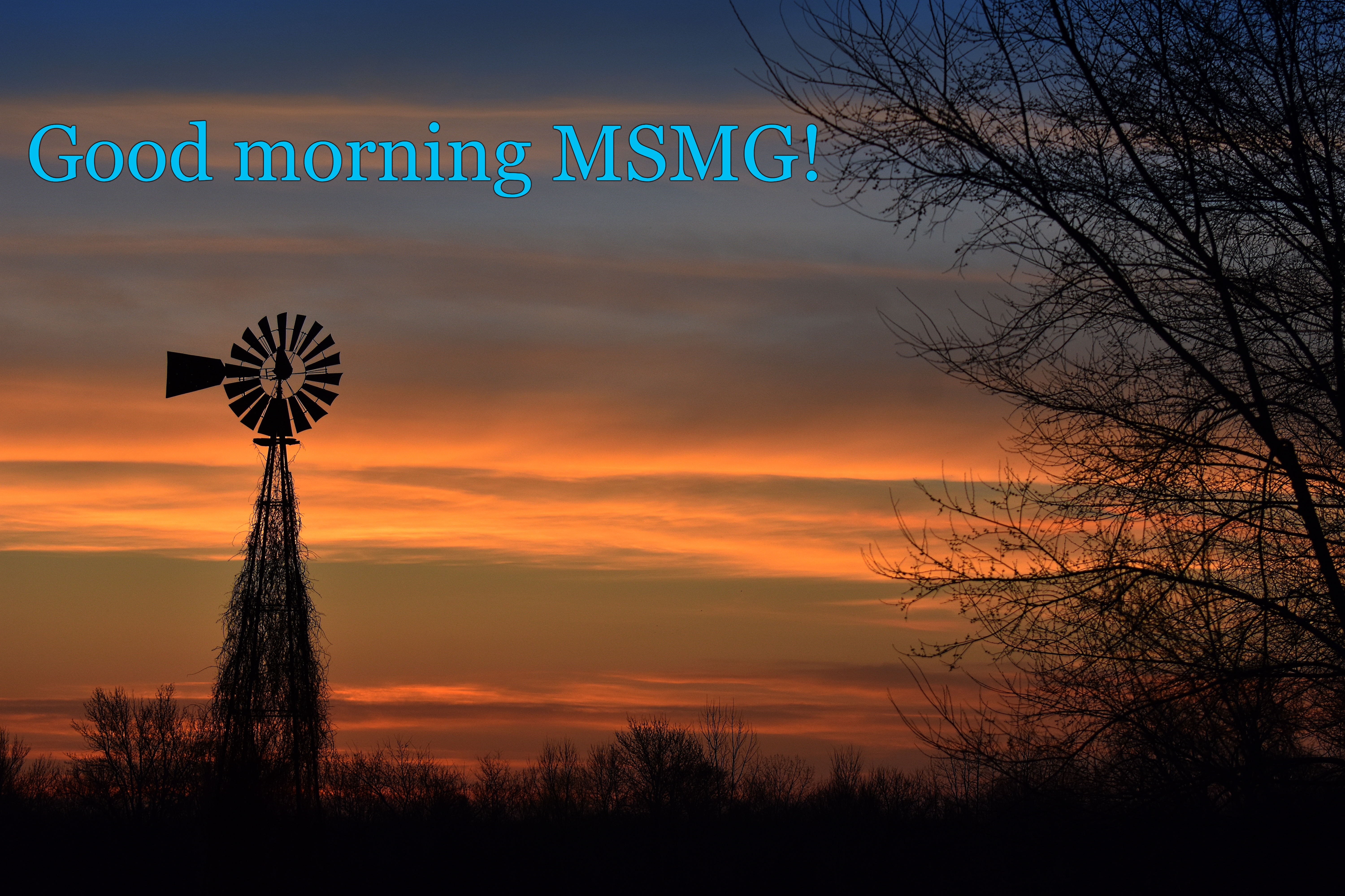good morning msmg! | Good morning MSMG! | image tagged in morning,kewlew | made w/ Imgflip meme maker
