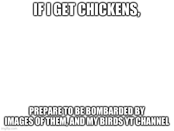 Js telling you beforehand | IF I GET CHICKENS, PREPARE TO BE BOMBARDED BY IMAGES OF THEM, AND MY BIRDS YT CHANNEL | made w/ Imgflip meme maker