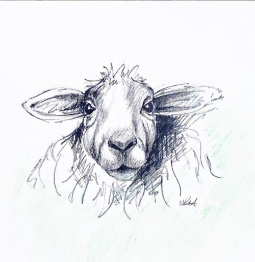 I'm the Family Black Sheep | image tagged in family black sheep,drawings | made w/ Imgflip meme maker