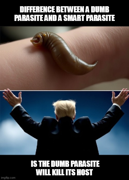 Parasites have IQ's too | DIFFERENCE BETWEEN A DUMB PARASITE AND A SMART PARASITE; IS THE DUMB PARASITE
WILL KILL ITS HOST | image tagged in parasite,predators,non-simbiotic,leeches,blood-sucking | made w/ Imgflip meme maker