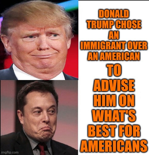 Leon Doesn't Care About Americans, Or Space Exploration.  Leon Only Cares About Taking American's Money | DONALD TRUMP CHOSE AN IMMIGRANT OVER AN AMERICAN; TO ADVISE HIM ON WHAT'S BEST FOR AMERICANS | image tagged in elon musk,elon leon,donald trump is a convicted rapist,traitor trump,terrorist trump,memes | made w/ Imgflip meme maker