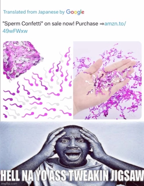 aint nobody buying TS | image tagged in hell nah yo ass tweaking bottom panel only | made w/ Imgflip meme maker