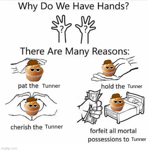 Why do we have hands? (all blank) | Tunner; Tunner; Tunner; Tunner | image tagged in why do we have hands all blank,gay- | made w/ Imgflip meme maker