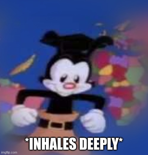 YAKKO | *INHALES DEEPLY* | image tagged in yakko | made w/ Imgflip meme maker