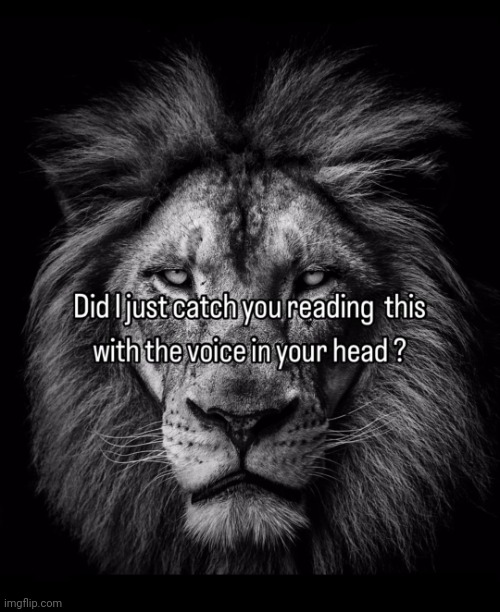 The lion heard all | image tagged in the lion heard all | made w/ Imgflip meme maker