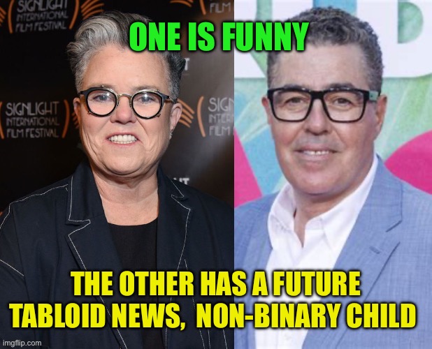 Doppelgänger | ONE IS FUNNY; THE OTHER HAS A FUTURE TABLOID NEWS,  NON-BINARY CHILD | image tagged in twins,rosie o'donnell,doppelgnger,funny | made w/ Imgflip meme maker