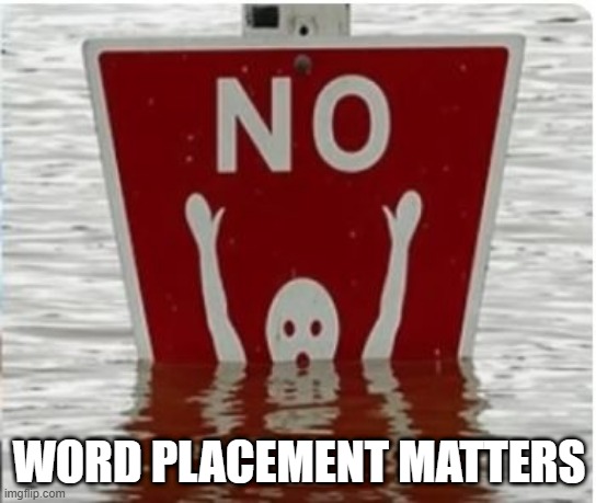 Noooooo | WORD PLACEMENT MATTERS | image tagged in you had one job | made w/ Imgflip meme maker
