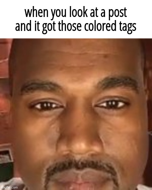 when you look at a post and it got those colored tags | image tagged in memes,funny,animals,cats,dogs,gifs | made w/ Imgflip meme maker