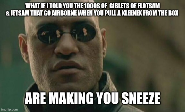 Sneeze morpheys | WHAT IF I TOLD YOU THE 1000S OF  GIBLETS OF FLOTSAM & JETSAM THAT GO AIRBORNE WHEN YOU PULL A KLEENEX FROM THE BOX; ARE MAKING YOU SNEEZE | image tagged in memes,matrix morpheus | made w/ Imgflip meme maker