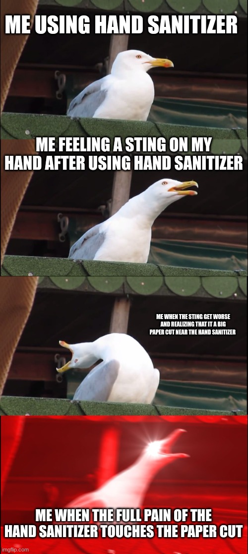 Inhaling Seagull | ME USING HAND SANITIZER; ME FEELING A STING ON MY HAND AFTER USING HAND SANITIZER; ME WHEN THE STING GET WORSE AND REALIZING THAT IT A BIG PAPER CUT NEAR THE HAND SANITIZER; ME WHEN THE FULL PAIN OF THE HAND SANITIZER TOUCHES THE PAPER CUT | image tagged in memes,inhaling seagull | made w/ Imgflip meme maker