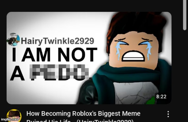 WHAT DID HAIRYTWINKLE DO | made w/ Imgflip meme maker