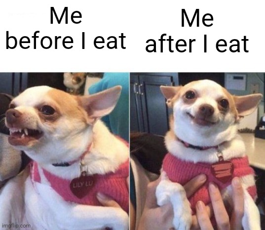 I don't mean what I say when I'm hangry | Me before I eat; Me after I eat | image tagged in angry chihuahua happy chihuahua | made w/ Imgflip meme maker