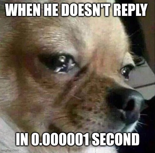 I miss him in that time | WHEN HE DOESN'T REPLY; IN 0.000001 SECOND | image tagged in crying chihuahua | made w/ Imgflip meme maker