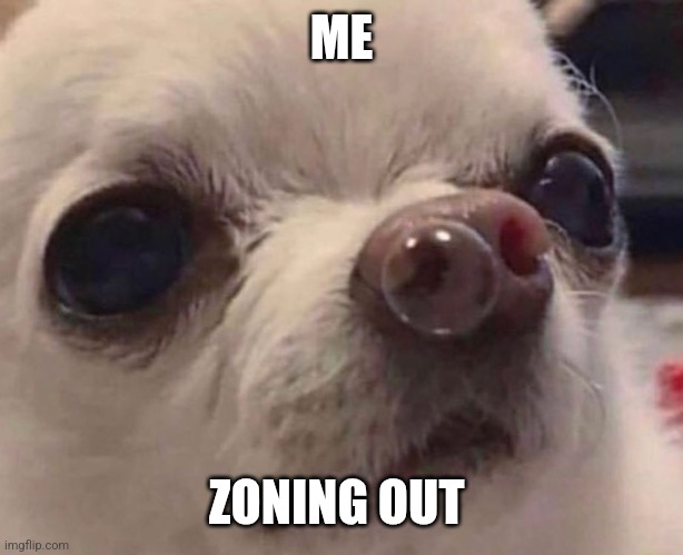 Chihuahua Snot Bubble | ME; ZONING OUT | image tagged in chihuahua snot bubble | made w/ Imgflip meme maker