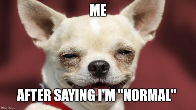 Nah I'm not | ME; AFTER SAYING I'M "NORMAL" | image tagged in high chihuahua | made w/ Imgflip meme maker