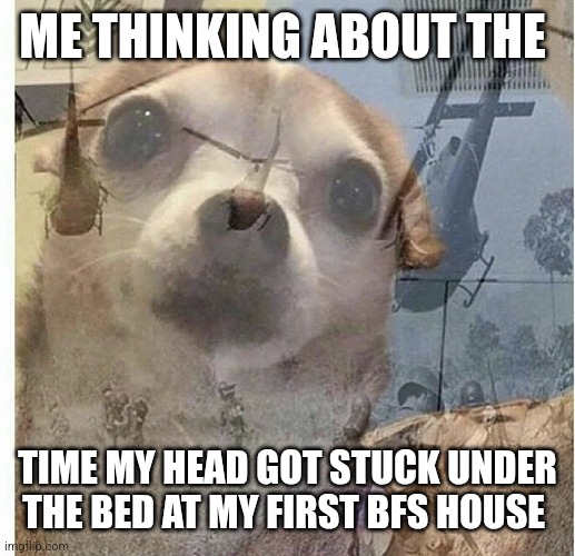 That's why I don't hide under beds in hide and seek any more | ME THINKING ABOUT THE; TIME MY HEAD GOT STUCK UNDER THE BED AT MY FIRST BFS HOUSE | image tagged in ptsd chihuahua | made w/ Imgflip meme maker
