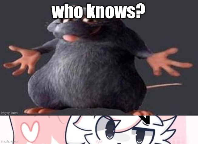 who knows? | image tagged in shrugging rat,femboy boykisser speech bubble | made w/ Imgflip meme maker