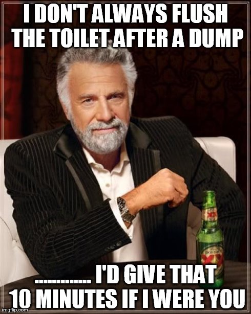 The Most Interesting Man In The World Meme | I DON'T ALWAYS FLUSH THE TOILET AFTER A DUMP ............. I'D GIVE THAT 10 MINUTES IF I WERE YOU | image tagged in memes,the most interesting man in the world | made w/ Imgflip meme maker