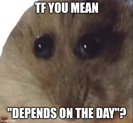 Hampter | TF YOU MEAN "DEPENDS ON THE DAY"? | image tagged in hampter | made w/ Imgflip meme maker