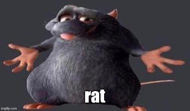 Shrugging Rat | rat | image tagged in shrugging rat | made w/ Imgflip meme maker