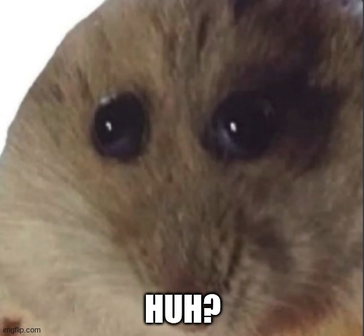 Hampter | HUH? | image tagged in hampter | made w/ Imgflip meme maker