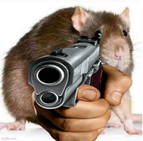 Pointing Rat | image tagged in pointing rat | made w/ Imgflip meme maker