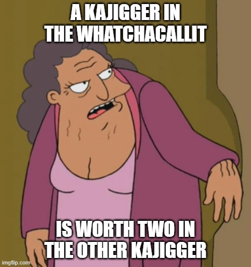 Kajigger Lady 1 | A KAJIGGER IN THE WHATCHACALLIT; IS WORTH TWO IN THE OTHER KAJIGGER | image tagged in futurama,kajigger | made w/ Imgflip meme maker