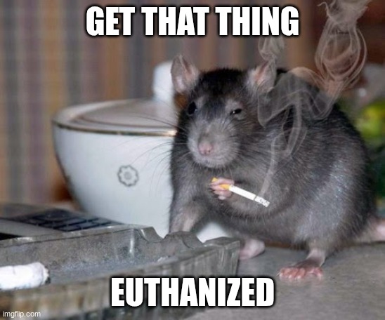 Smoking Rat | GET THAT THING EUTHANIZED | image tagged in smoking rat | made w/ Imgflip meme maker