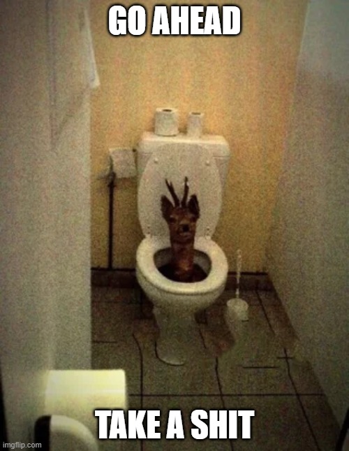GO AHEAD; TAKE A SHIT | made w/ Imgflip meme maker