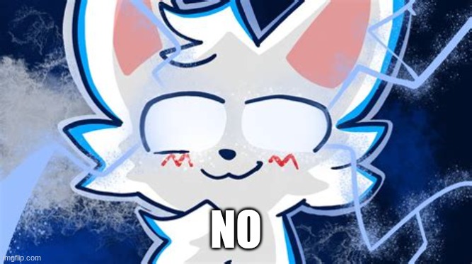 boykisser meme | NO | image tagged in boykisser meme | made w/ Imgflip meme maker