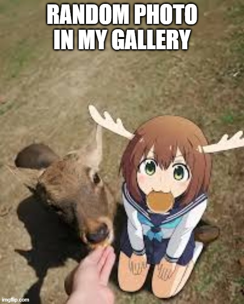 RANDOM PHOTO IN MY GALLERY | made w/ Imgflip meme maker